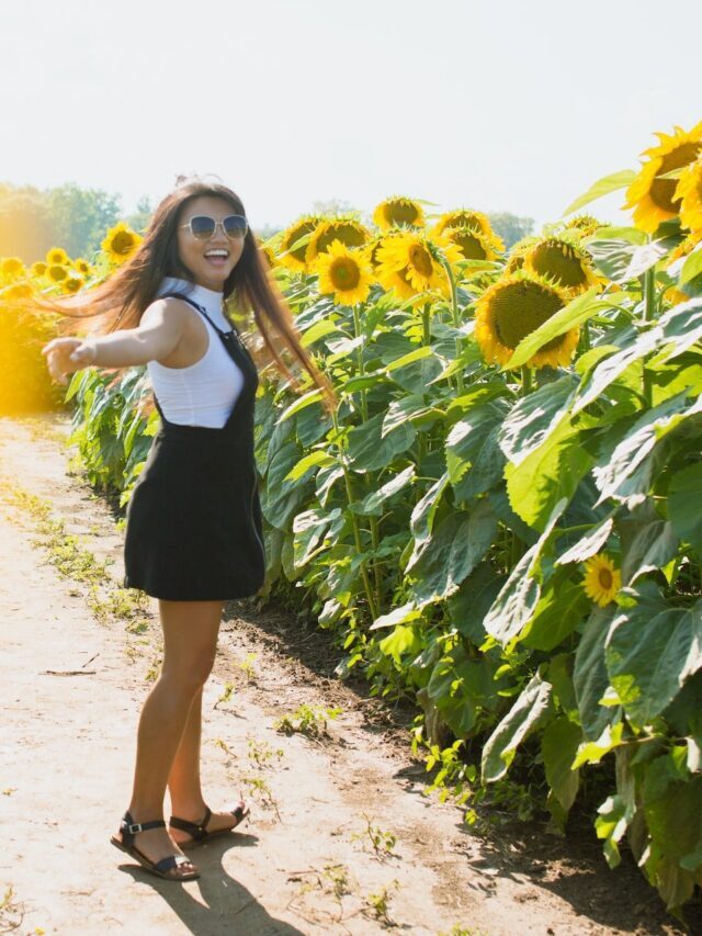 The Ultimate Guide On Sunflower Farming