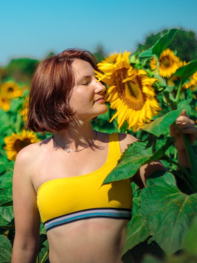 How To Grow & Care For Sunflower Plant