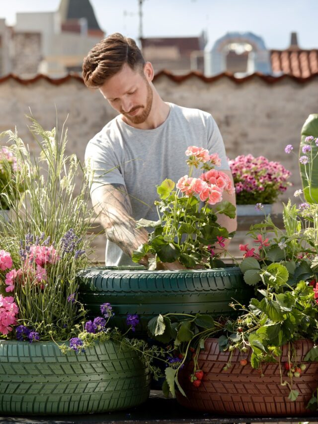 How To Do USDA Garden Registration & Join People’s Garden