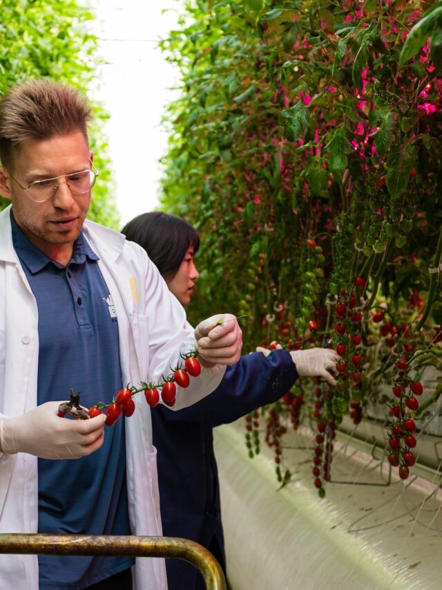 Top Vertical Farming Companies In The World