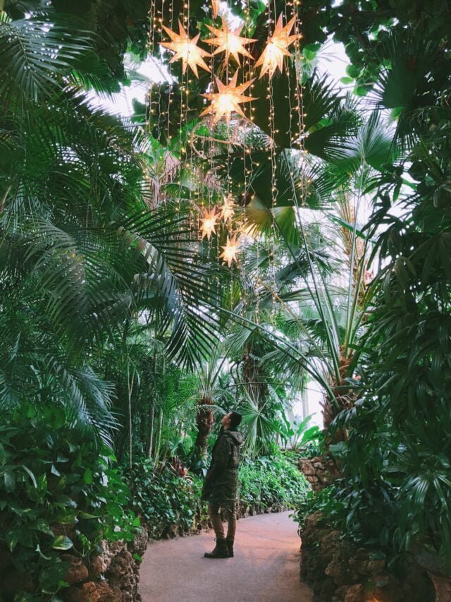 Best Botanical Gardens In The World That You Must Visit