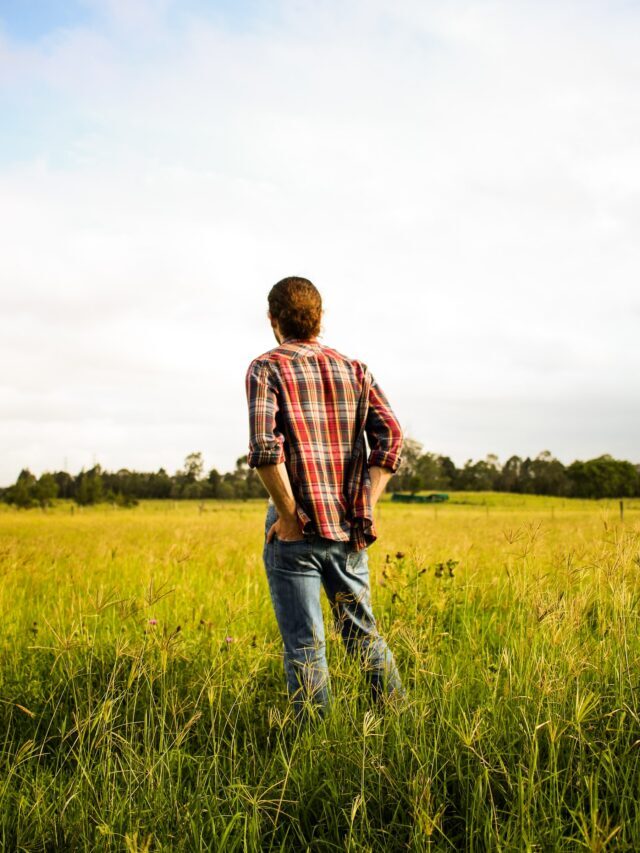 Things About Contract Farming You Should Know