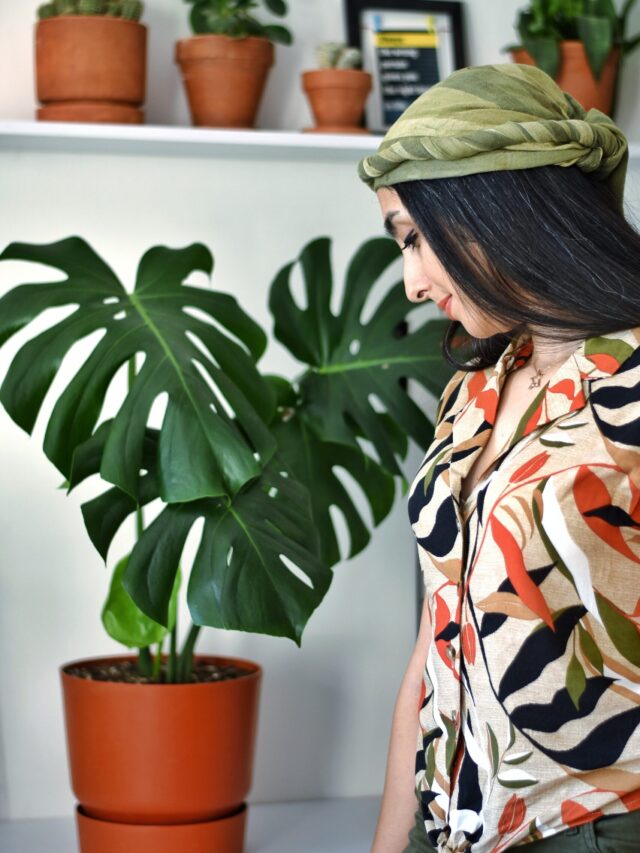 gardening-in-new-year-2023