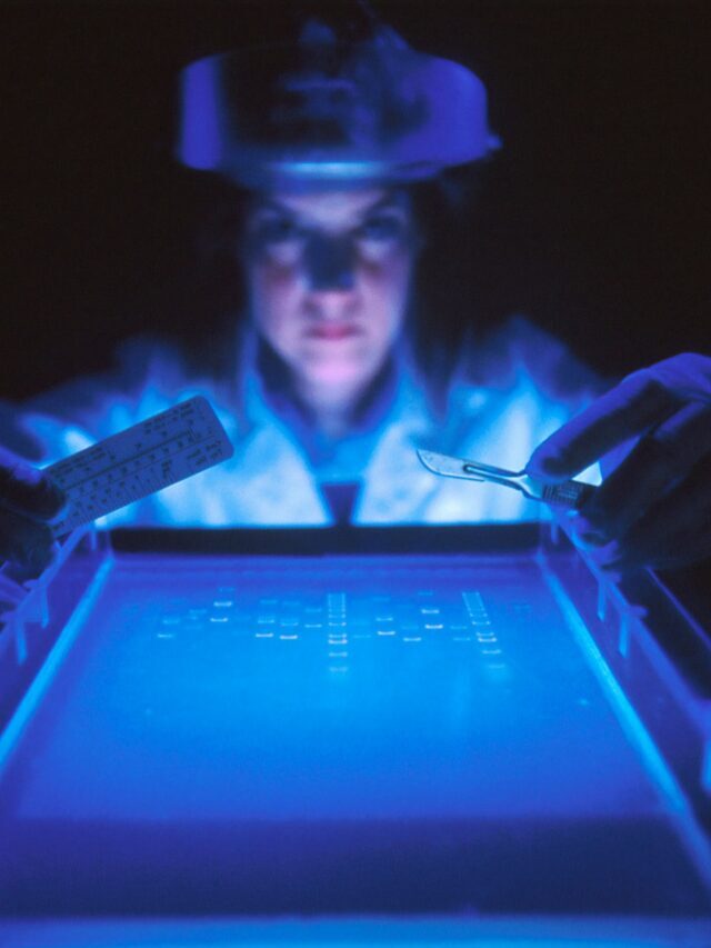 Biggest Events Of Genetically Modified Organisms