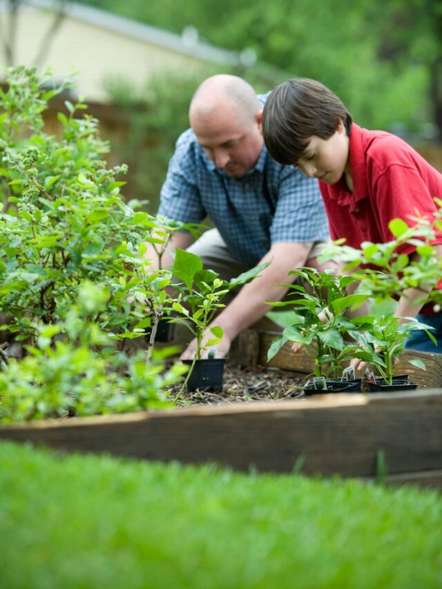 gifts-for-gardeners-dad