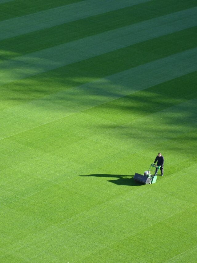 7 Lawn Care Tips You Should Follow!