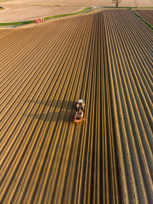 How Precision Agriculture Can Benefit Farmers