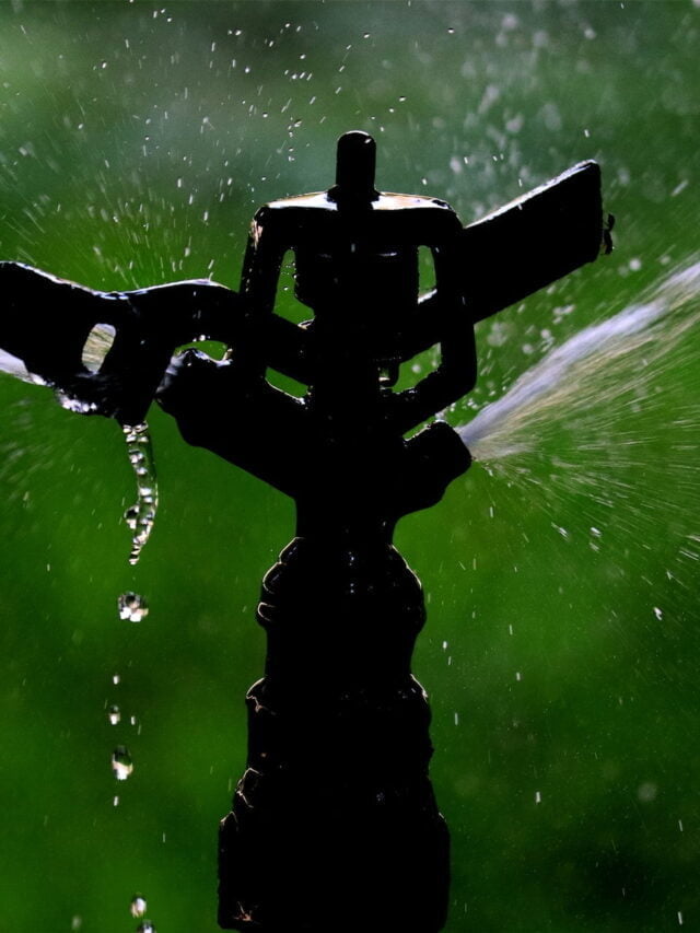 Better Insight On Sprinkler Irrigation System