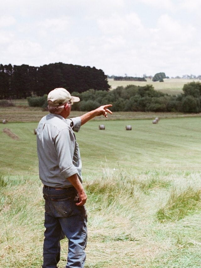 Why USDA Census Of Agriculture Important
