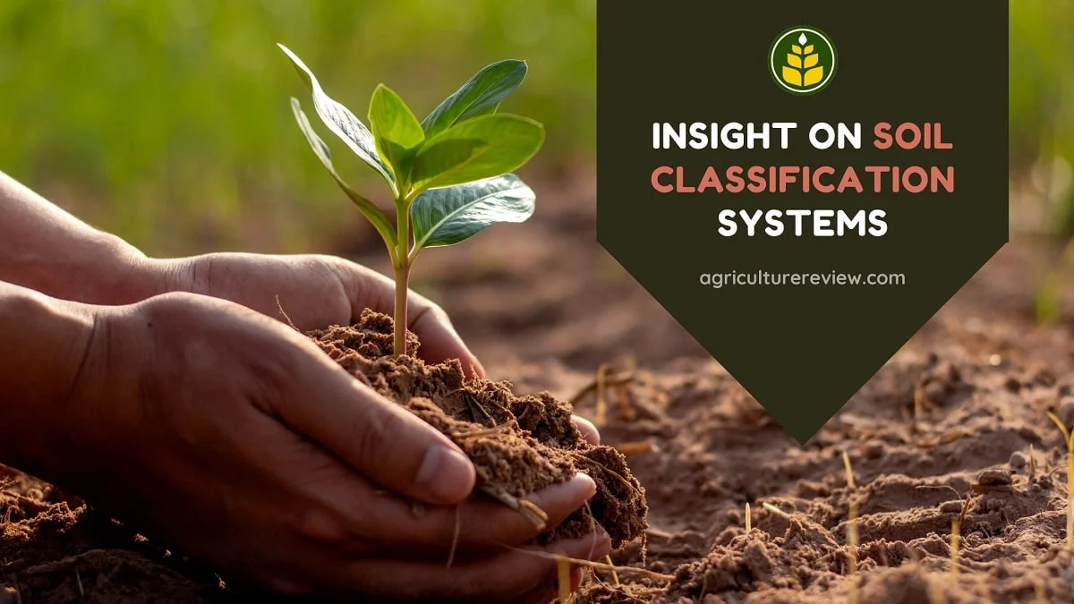 soil-classification-system