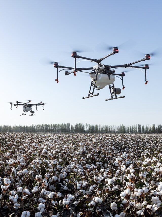 How Drones Are Being Used In Agriculture