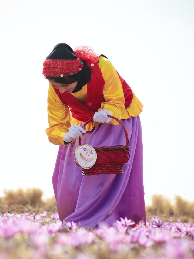 Commercial Floriculture To Get Boost In Jammu & Kashmir