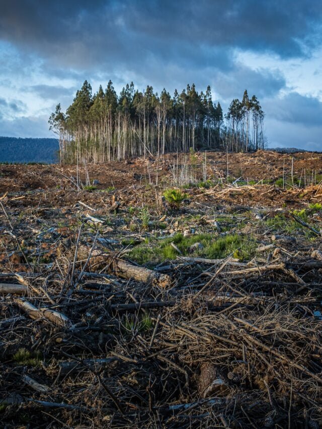 Climate Change Can Affect Agriculture Badly