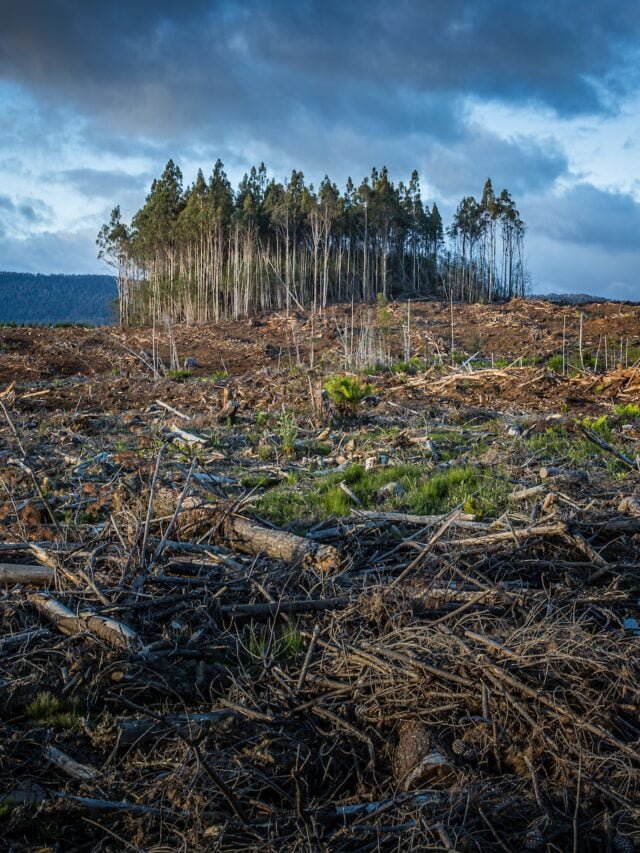 effect-of-climate-change-on-agriculture