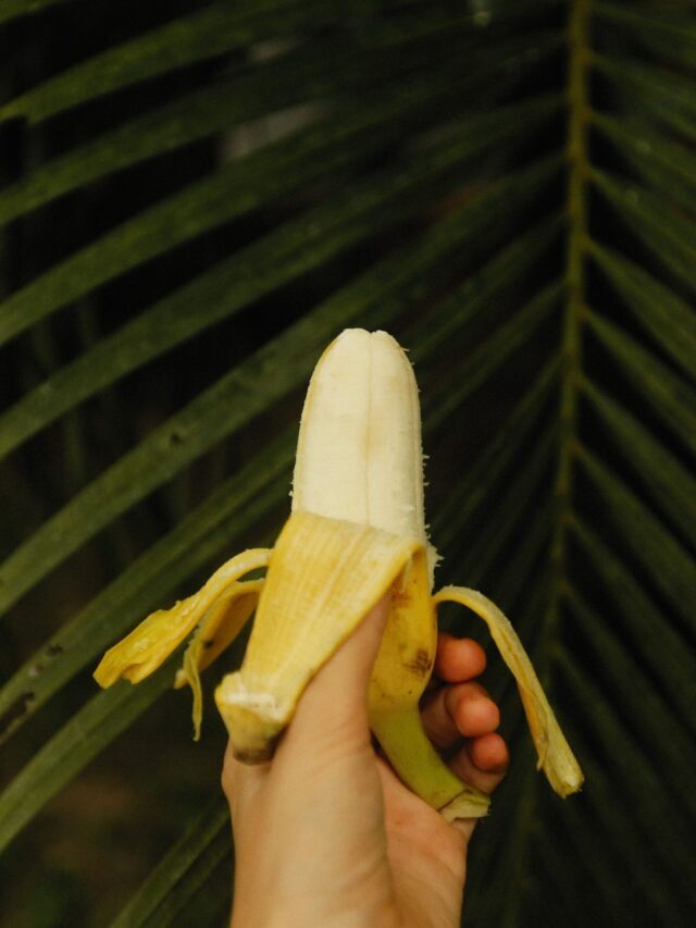 Instead Of Throwing Fruit & Vegetable Peels, Make Fertilizer