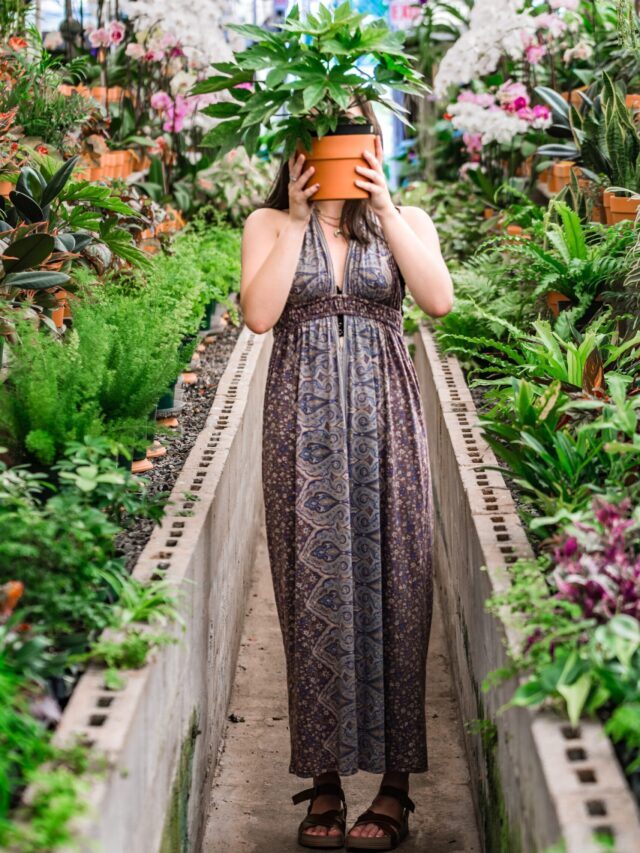What Is Horticultural Therapy