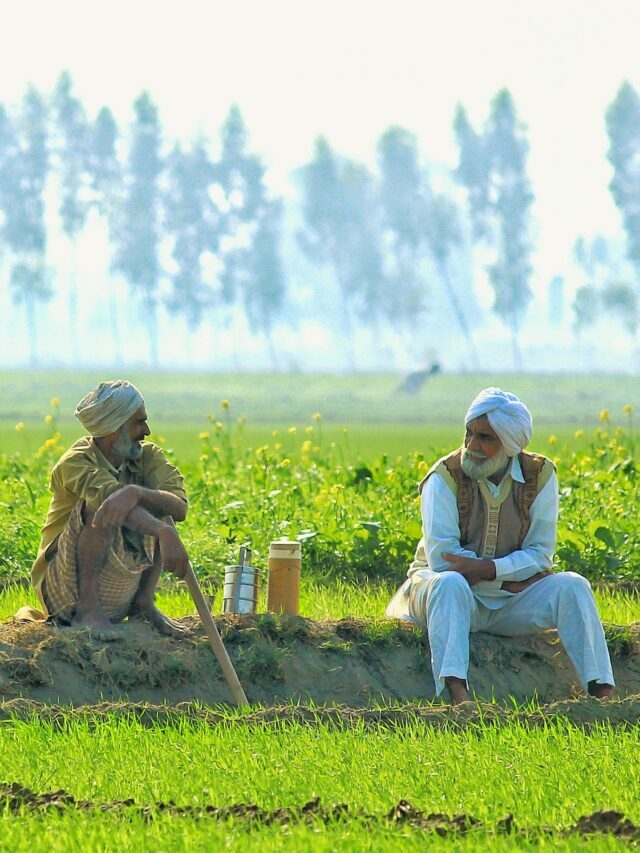 How To Apply For Kisan Credit Card Loan