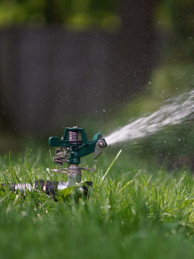 Government Offers Subsidy For Micro Irrigation In Bihar