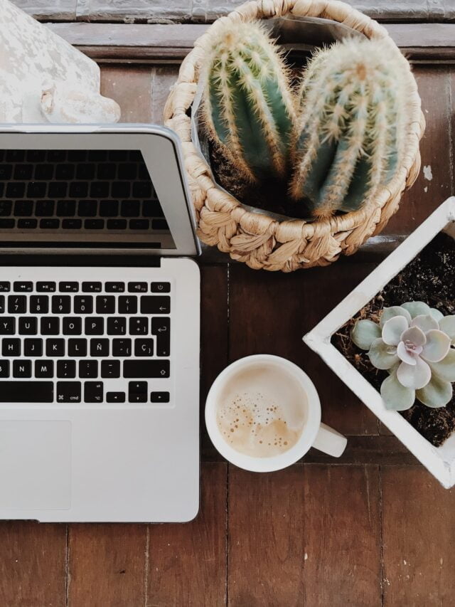 Best Office Plants That You Can Grow