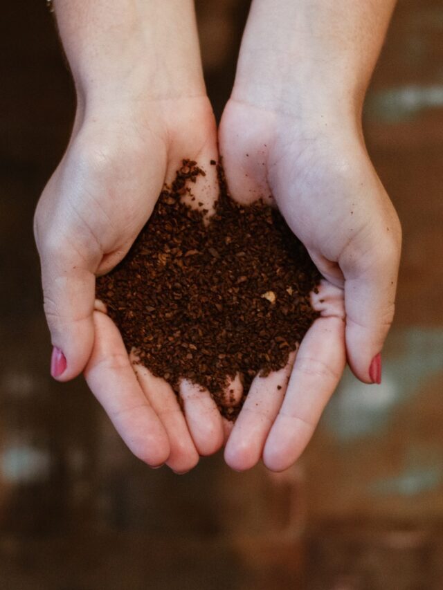 Best Types Of Organic Fertilizers For Gardening