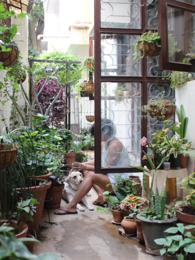 How To Do Gardening In Small Space