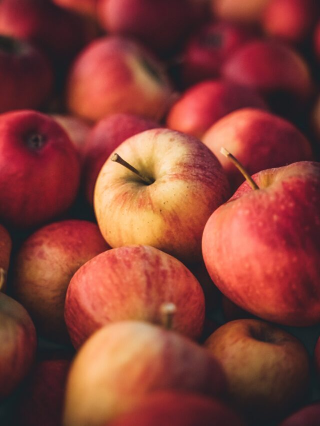 Top Types Of Apples In The World