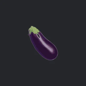 eggplant-seeds