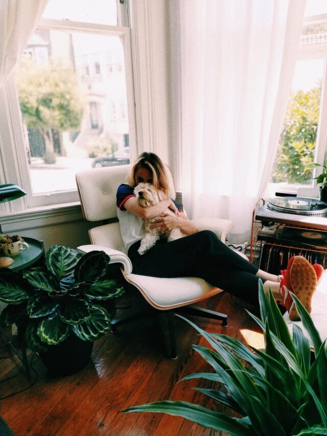 Use These Plants For Home Decor