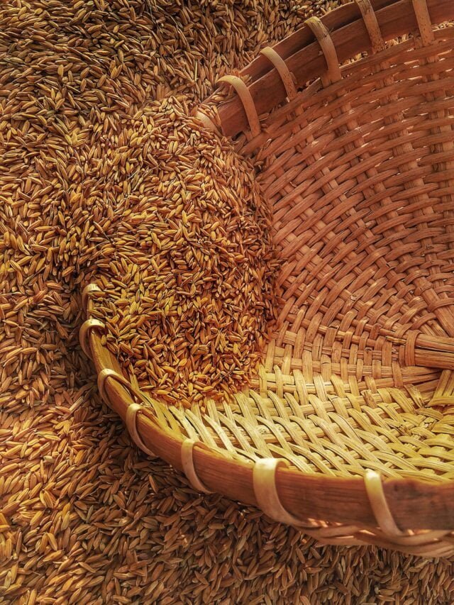 How Do Storage Grain Losses Occur
