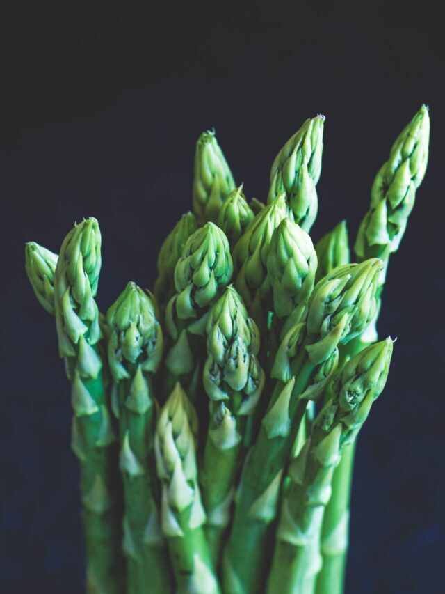 How To Grow & Care For Asparagus Plant