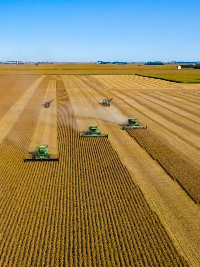 Know About Intensive Vs. Extensive Agriculture
