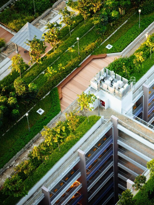 How To Start Rooftop Gardening