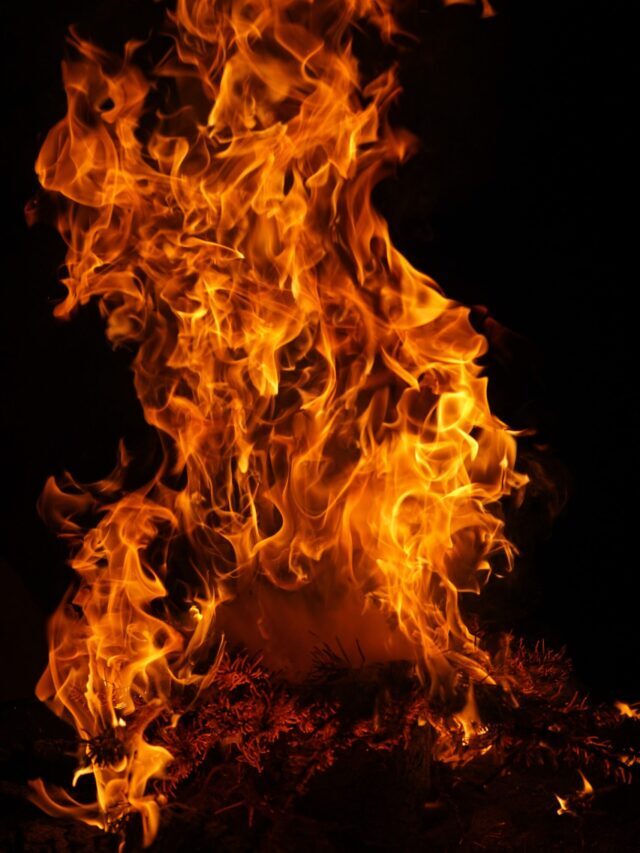What Is Fire-Stick Farming Of Australia