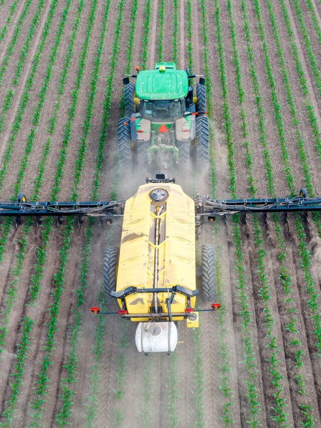 Advantages & Problems Of Using Chemical Fertilizers