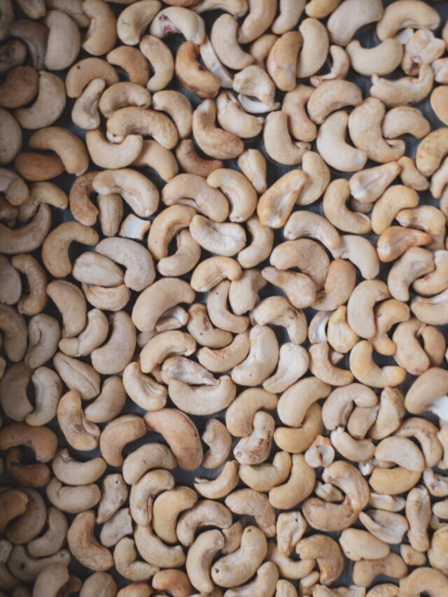 How To Start Cashew Farming Business