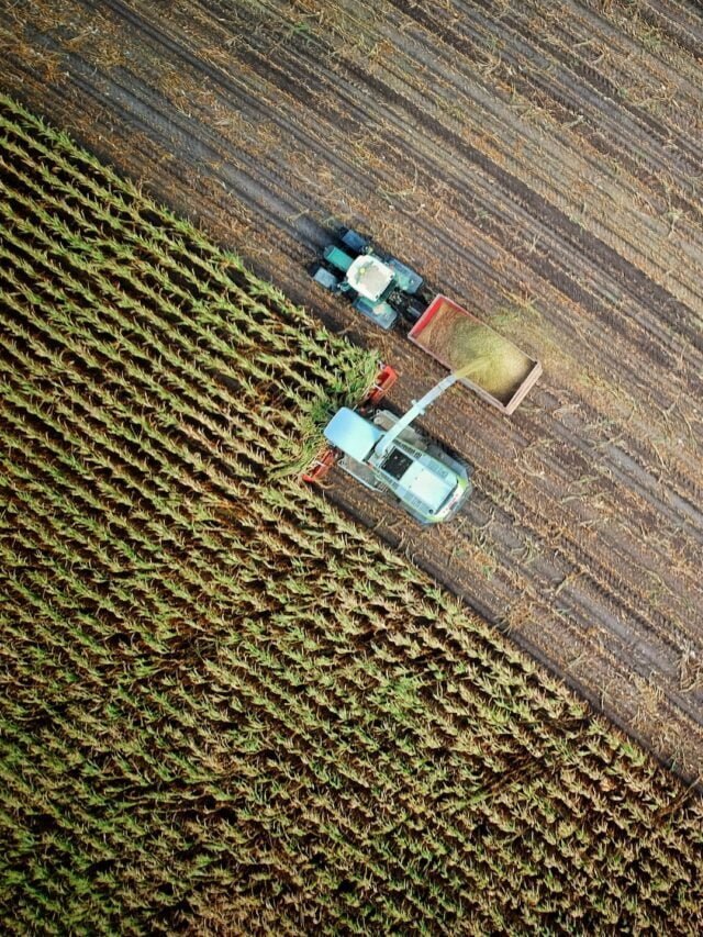 Corporate Farming: Scaling From Local To Global