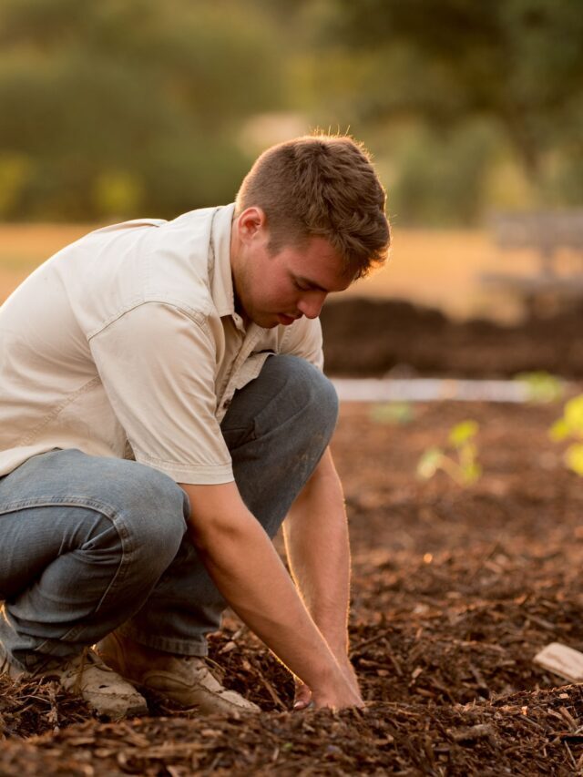 How the Great Depression Devastated Agriculture Of America