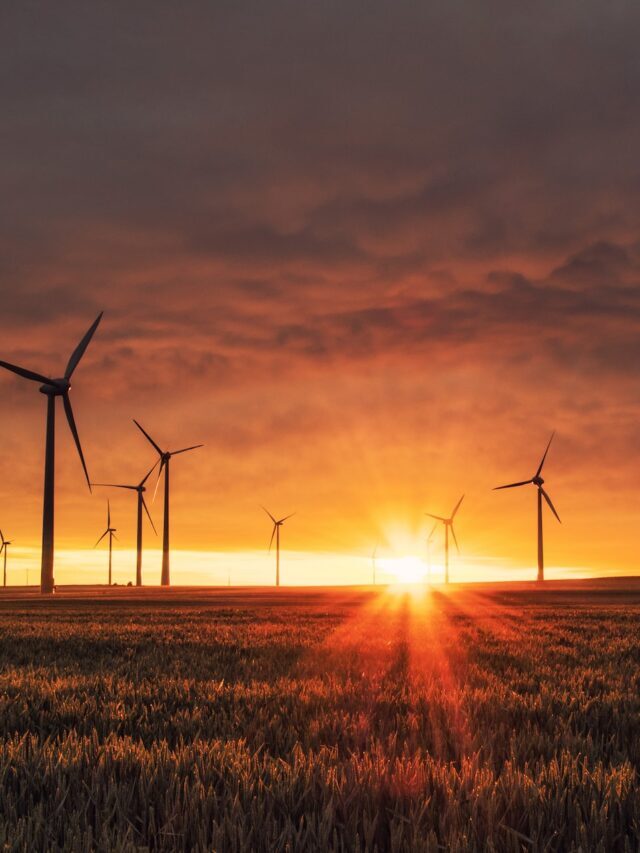 The Vital Link Between Climate and Agriculture
