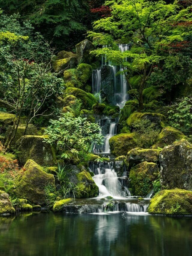 Japanese Garden “Landscape Miracle”