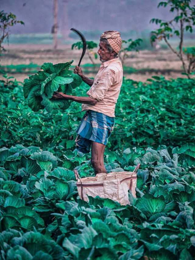 What Can Farmers Do To Protect Their Crops