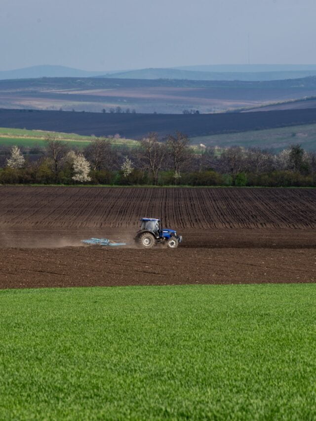Why Farmers Plough The Field Before Summer Season?