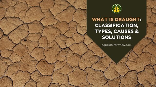 What Is Drought: Classification, Types, Causes & Solutions