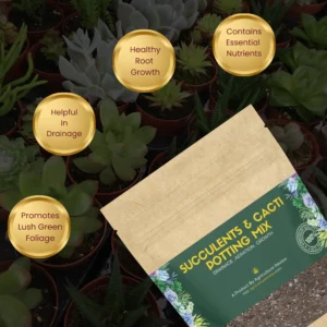 benefits-of-agriculture-review-succulent-cacti-potting-mix