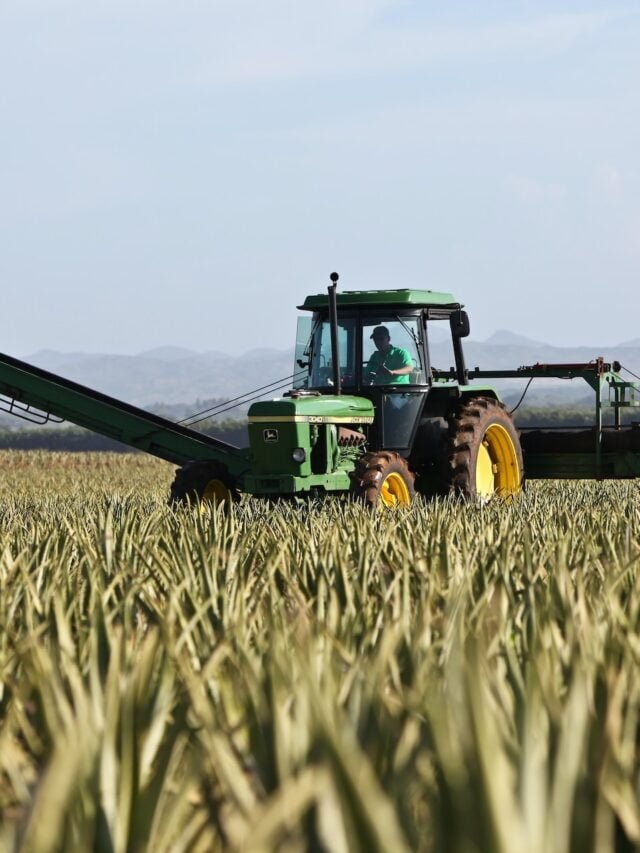 Top Agricultural Trends You Need to Know