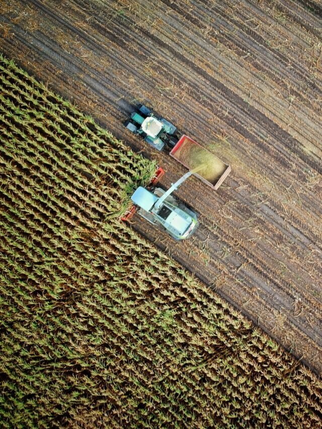 Commercialisation Of Agriculture: From Farm To Business