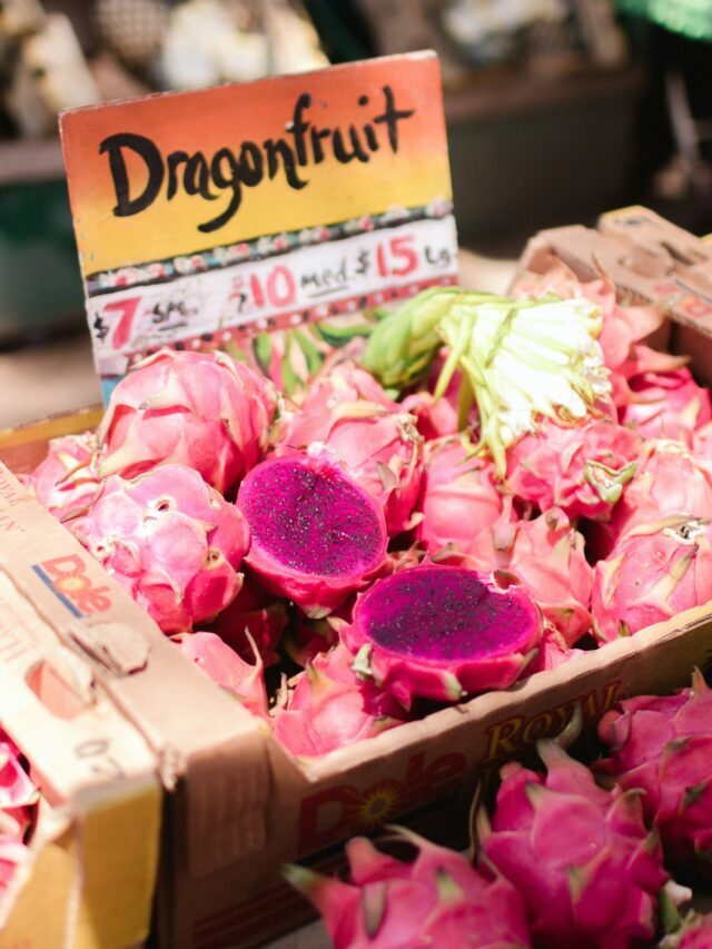 Dragon Fruit Farming: A Profitable Tropical Venture