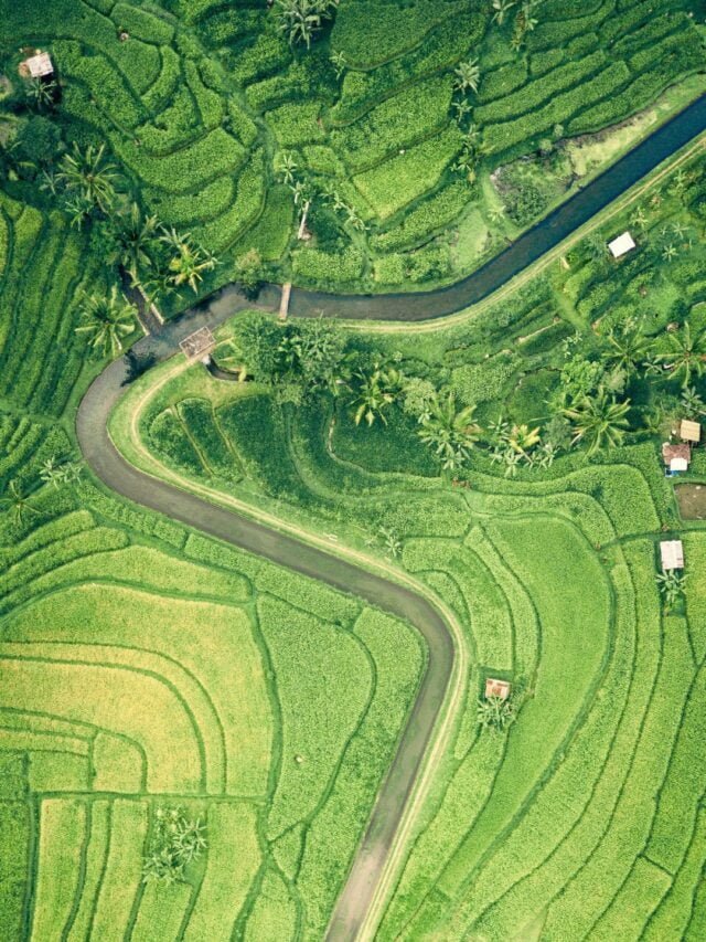 How Does Agriculture Affect Settlement