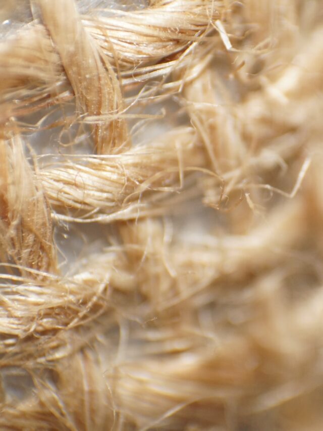 The Golden Fiber: Exploring the Jute Industry