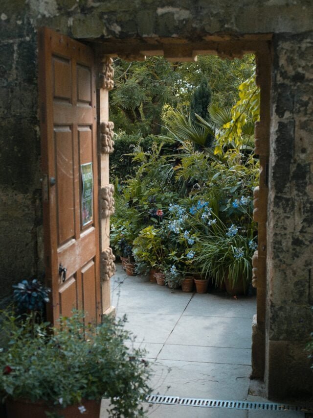 Amazing Terrace Garden Ideas That You Can Try