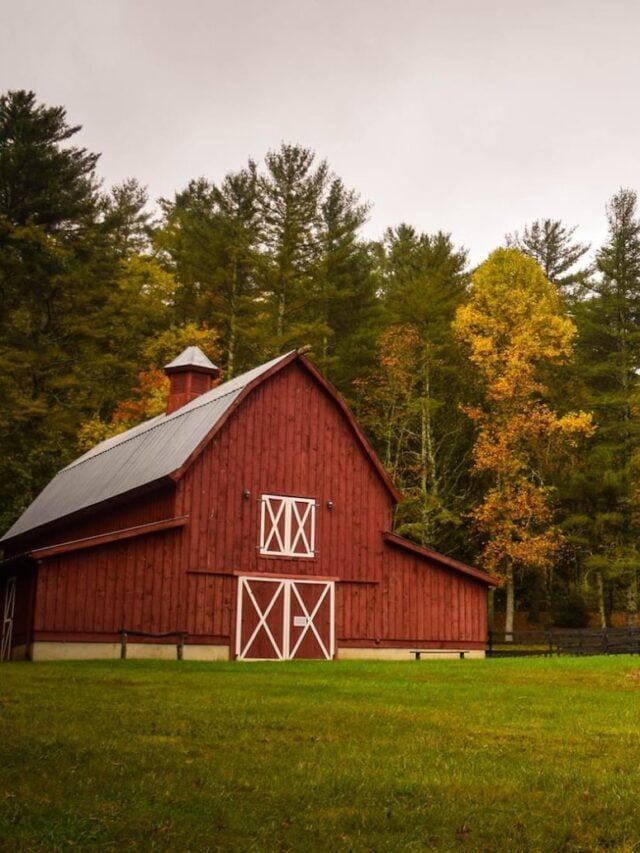 Top Agriculture Museums In The World!